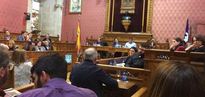 Soler intervenint al Ple extraordinari del Consell de Mallorca